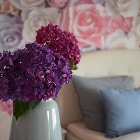 Apartment Rose Sasbachwalden Zewnętrze zdjęcie