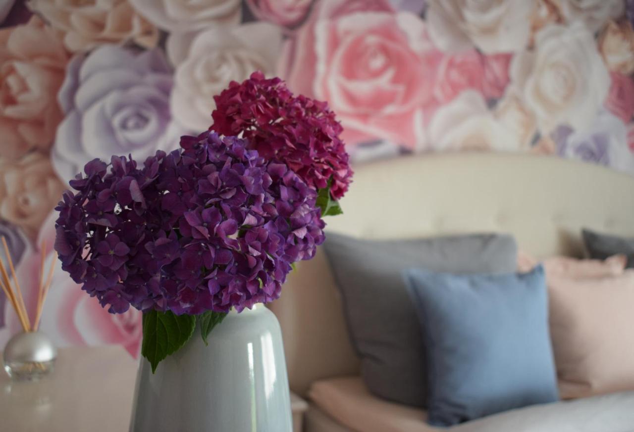 Apartment Rose Sasbachwalden Zewnętrze zdjęcie