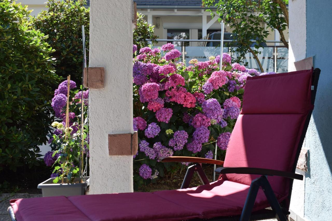 Apartment Rose Sasbachwalden Zewnętrze zdjęcie
